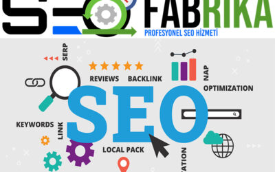 Profesyonel SEO Hizmeti - Güncel SEO Paketleri