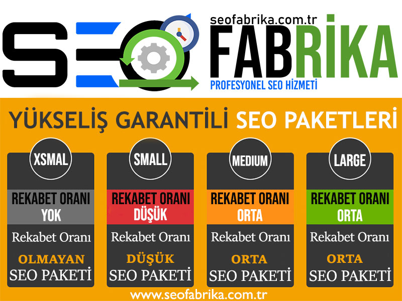 SEO Paketleri